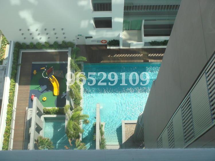 Regency Suites (D3), Apartment #114296962